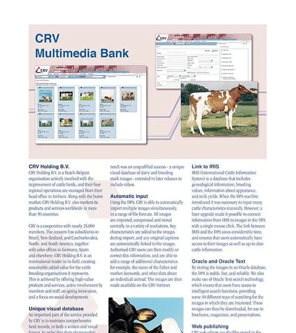 CRV Multimedia DB Brochure