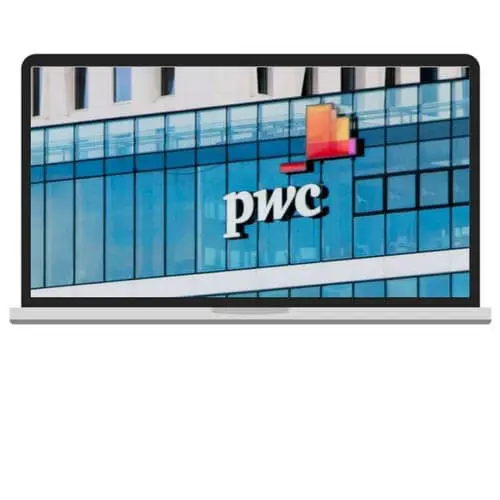 Developing custom software - BSL Client - PricewaterhouseCoopers