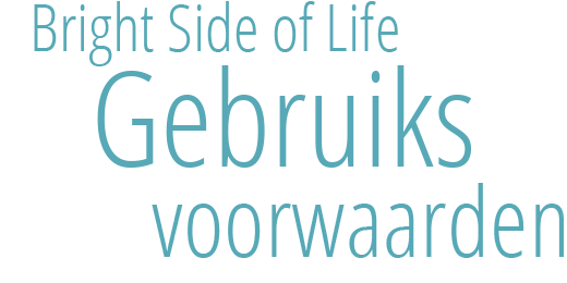 Gebruiksvoorwaarden