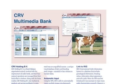 CRV Multimedia DB Brochure