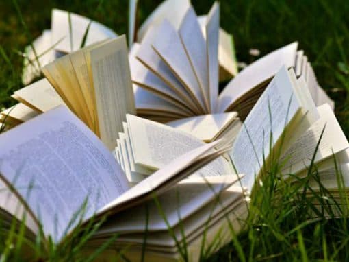 Literatuurplein – a literary treasure trove / Literatuurplein – een literaire schatkist