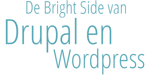 De Bright Side van Drupal en WordPress Bedrijfswebsites